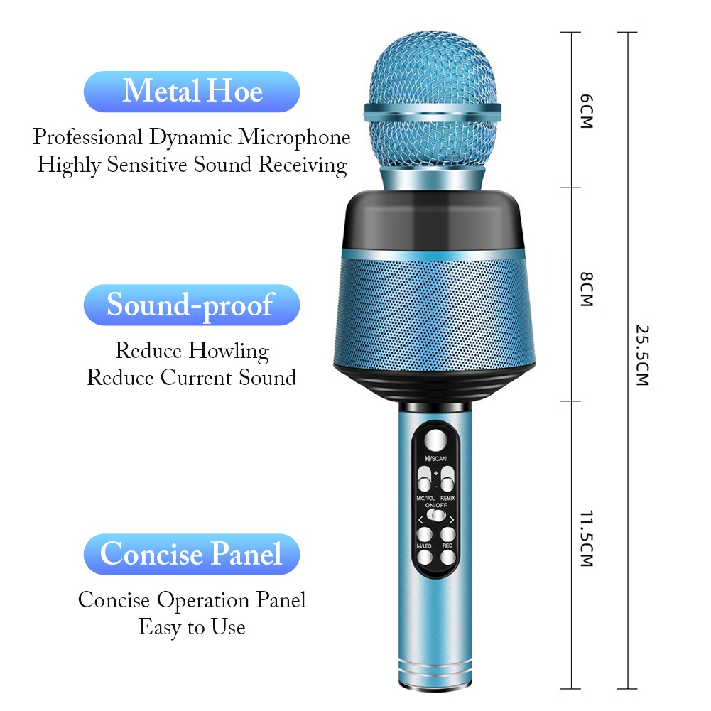 33A-ALL12-CityCell-Karaoke-Microphone.jpg