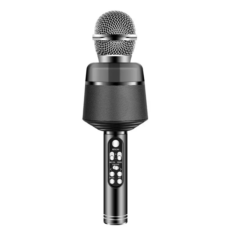 33A-BK-CityCell-Karaoke-Microphone.jpg
