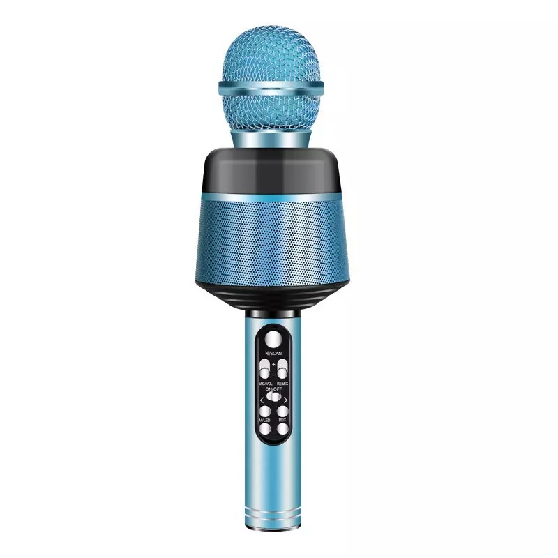 33A-BU-CityCell-Karaoke-Microphone.jpg